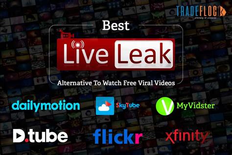 sites similar to liveleak|LiveLeak Alternatives: 25+ Video Sharing Tools